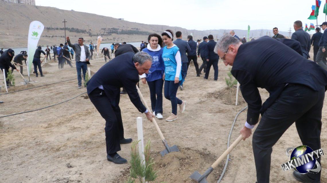 Prokurorluq əməkdaşları ağacəkmə aksiyası keçirmişdir