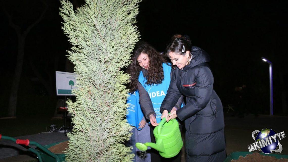 Heydər Əliyev Fondunun vitse-prezidenti Leyla Əliyevanın iştirakı ilə Bakıda ağacların qeydiyyatı və nömrələnməsi həyata keçirilir