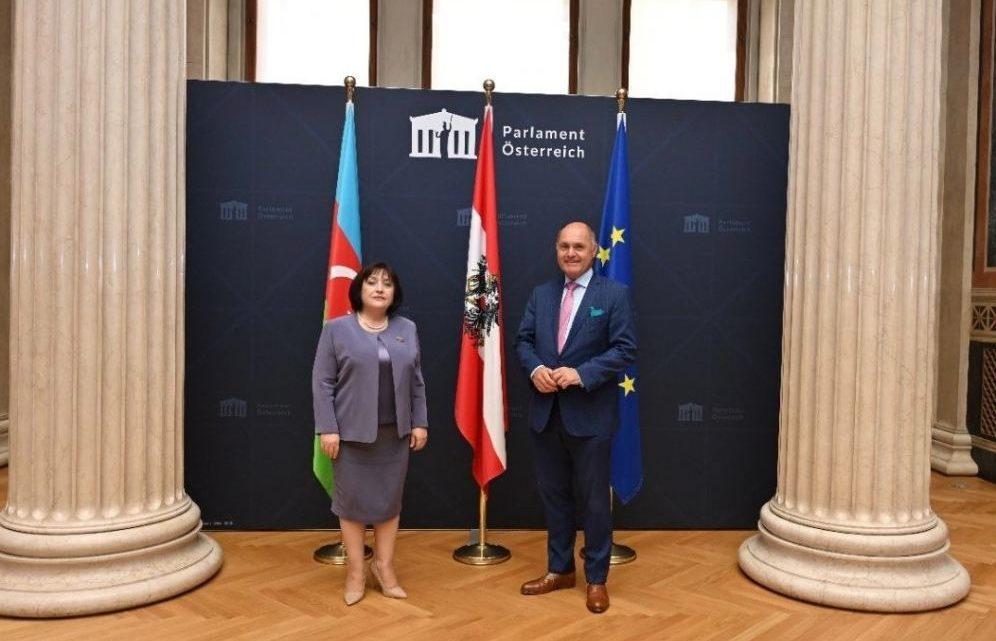 Azərbaycan parlament nümayəndə heyəti Avstriya parlamentinin binası ilə tanış olub