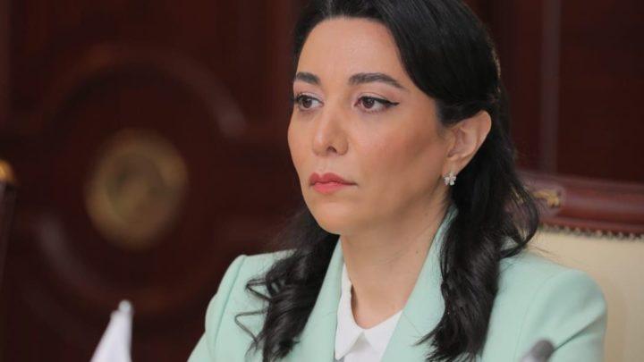 Ombudsman mina terroruna görə Ermənistana sanksiya tətbiq etməyə çağırıb