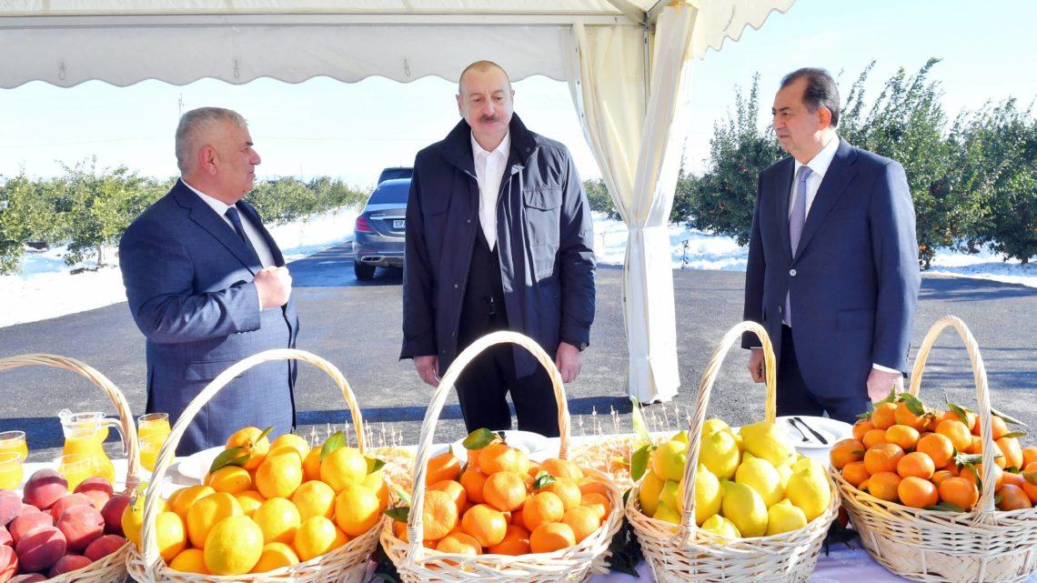Prezident İlham Əliyev Lənkəran rayonuna səfər edib