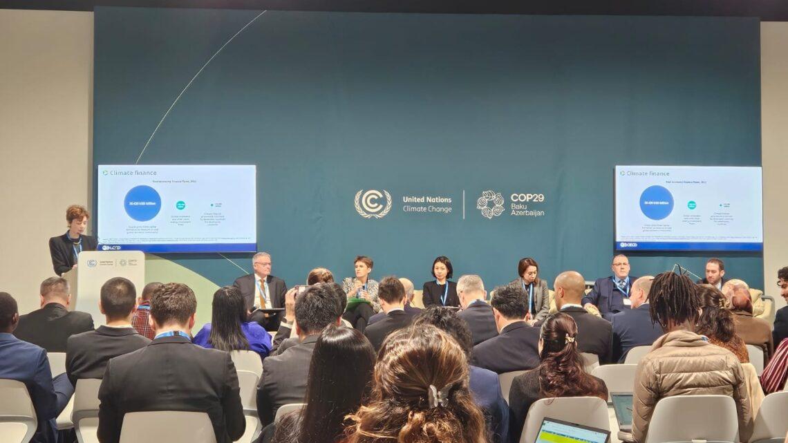 COP29: Paris Sazişi hədəflərinə nail olmaq istiqamətində töhfələrə dair panel keçirilib
