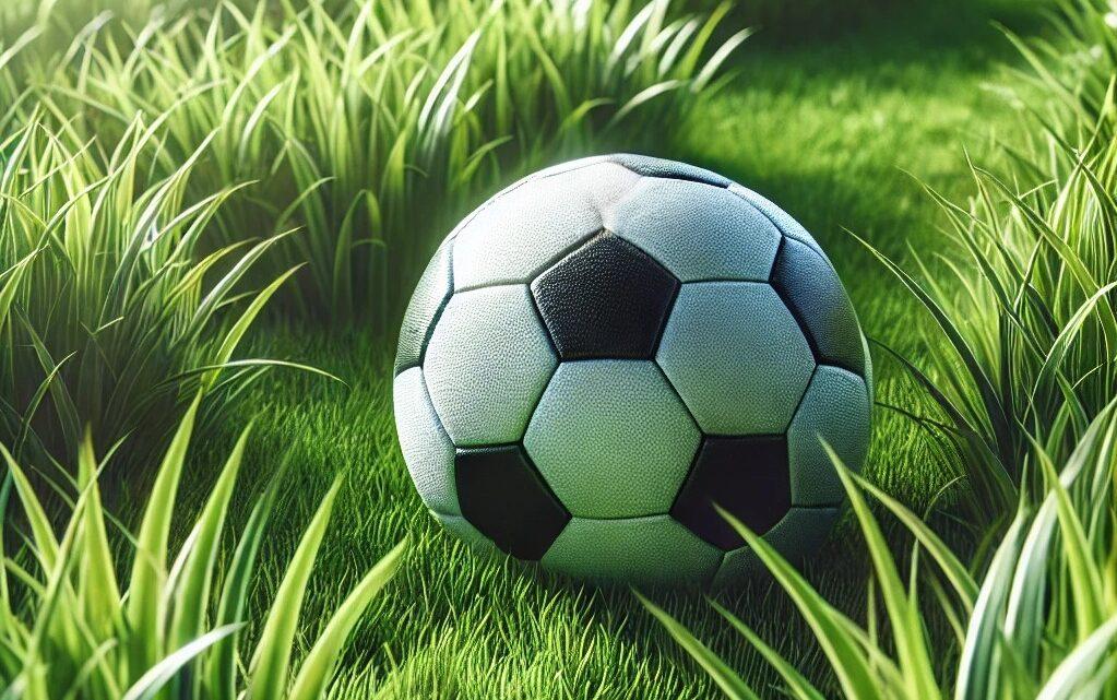 Dünya və Avropa çempionu karyerasını bitirdiyini bəyan edib