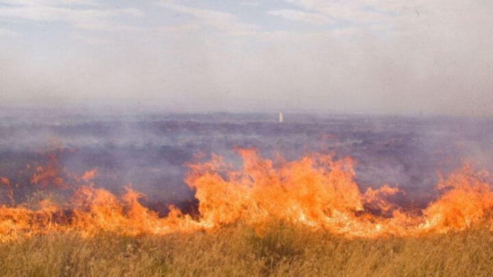 Ağdamın Kəngərli və Papravənd kəndləri istiqamətlərində açıq sahələrdə baş verən yanğınlar söndürülüb