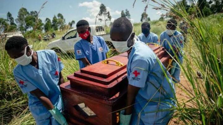 Konqoda “Ebola” virusundan ölənlərin sayı artıb
