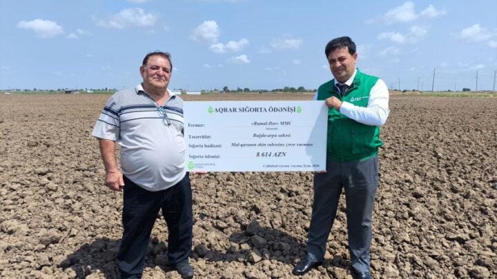 Azərbaycanda ilk dəfə mal-qaranın əkin sahəsinə zərər vurması ilə bağlı 8614 manat sığorta ödənişi edilib
