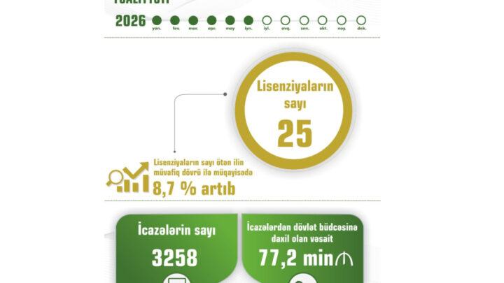 Naxçıvanda sahibkarlara verilən lisenziyaların sayı 8,7 faiz artıb