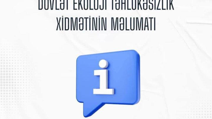 Binəqədidə ağacların kəsilməsi nəticəsində təbiətə 39 min manatdan çox ziyan dəyib