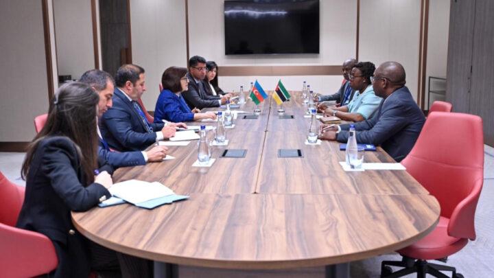 Milli Məclisin sədri Mozambikin Baş naziri ilə görüşüb