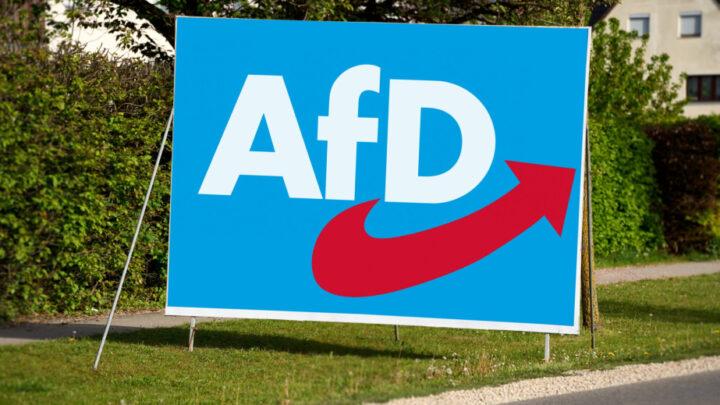 Almaniyada 1000-dən çox hüquqşünas AfD partiyasının qadağan olunmasına dair çağırış edib