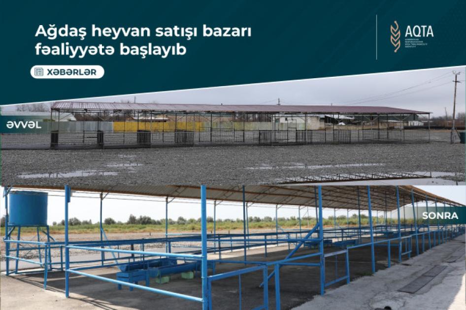Ağdaşdakı heyvan satışı bazarının fəaliyyəti bərpa olunub 