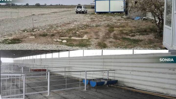 AQTA: Yenidən qurulan 16 heyvan satışı bazarı fəaliyyətə başlayıb