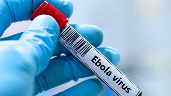 Konqoda Ebola xəstəliyinə yoluxma hallarının sayı 5 mini ötüb