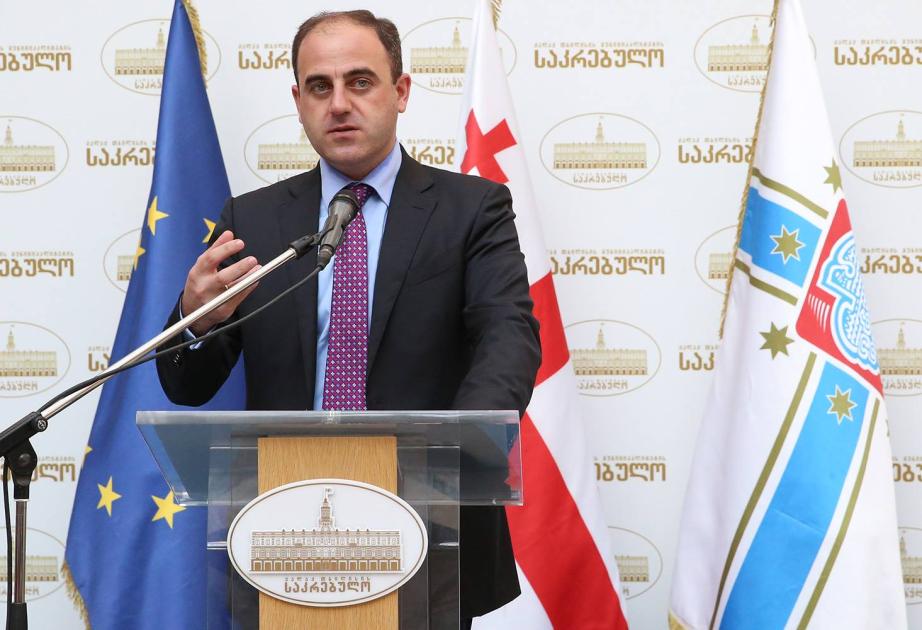 Gürcüstanda elektrik enerjisinin kəsilməsinin ilkin səbəbi açıqlanıb