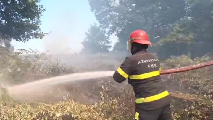 Lənkəranda açıq ərazidə baş verən yanğının söndürülməsi istiqamətində əməliyyat davam edir