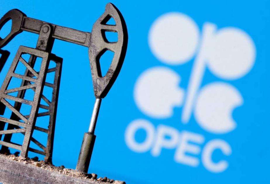 Venesuela OPEC-i tərk edə bilər