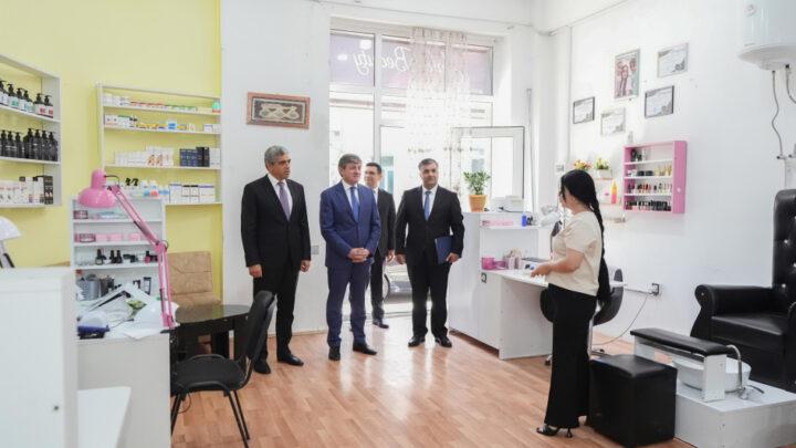 Qəbələdə özünüməşğulluq proqramı üzrə qurulmuş təsərrüfatlara, günərzi qayğı və reabilitasiya mərkəzlərinə baxış olub