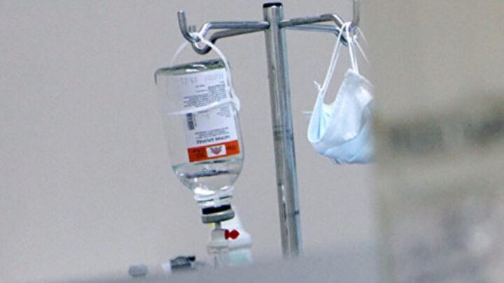 Braziliyadakı sarı qızdırma epidemiyasının səbəbi tapılıb