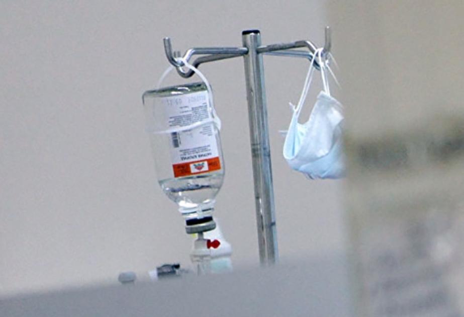 Braziliyadakı sarı qızdırma epidemiyasının səbəbi tapılıb
