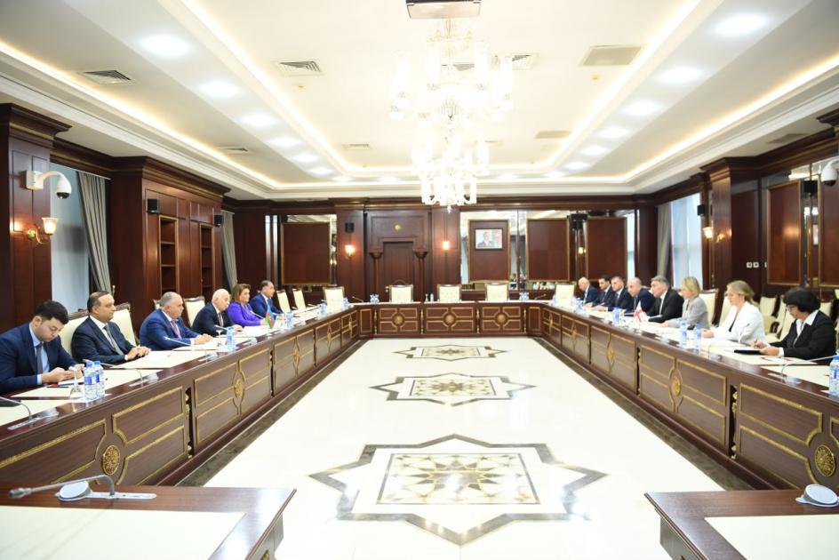 Azərbaycan və Gürcüstan arasında müxtəlif sahələrdə əməkdaşlığın genişləndirilməsi müzakirə olunub