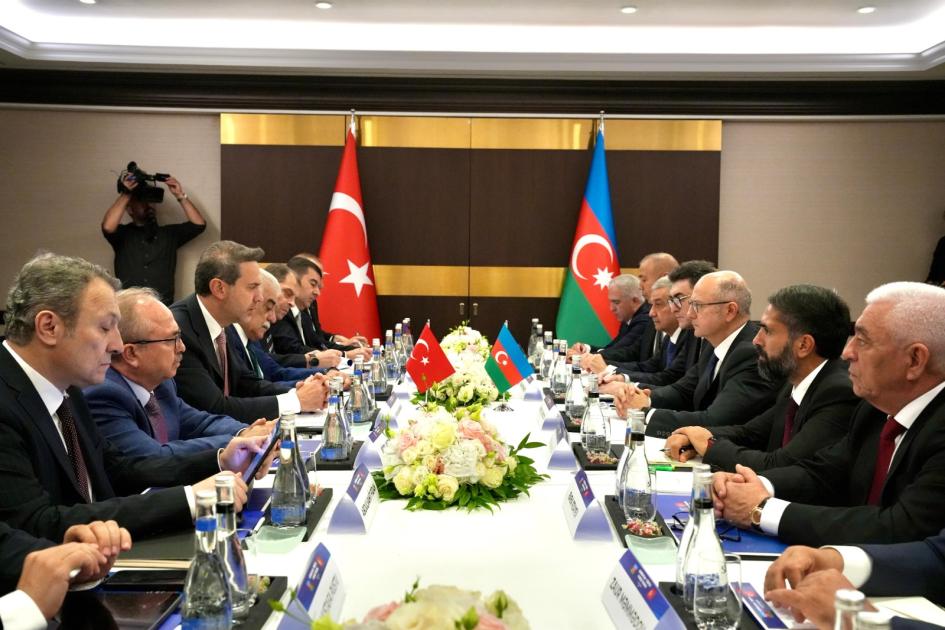 Bakıda Azərbaycan və Türkiyənin energetika nazirlərinin görüşü olub