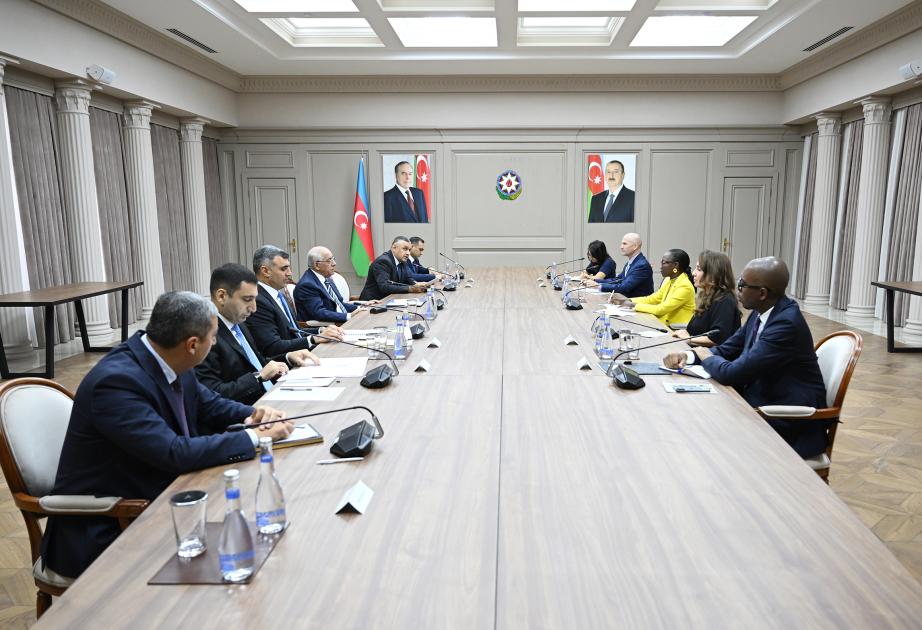 Baş nazir Əli Əsədov Dünya Bankının regional direktoru ilə görüşüb