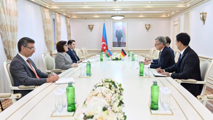 Almaniyanın Azərbaycandakı səfiri Milli Məclisdə olub