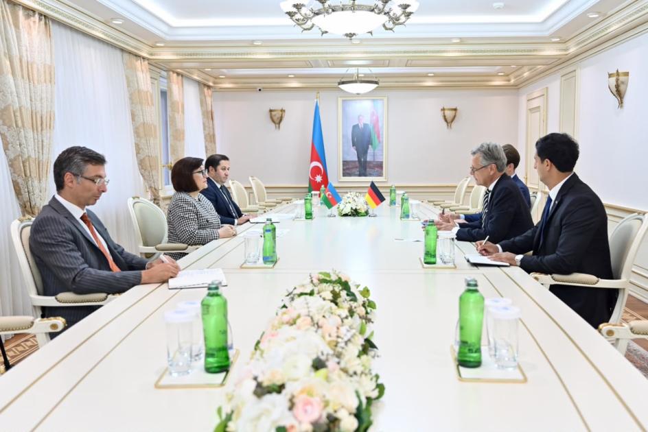 Almaniyanın Azərbaycandakı səfiri Milli Məclisdə olub