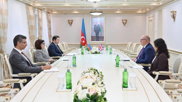 Milli Məclisin sədri Birləşmiş Krallığın ölkəmizdə yeni təyin olunmuş səfiri ilə görüşüb