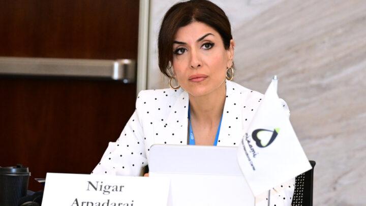 Nigar Arpadarai: Dünyanın bütün ölkələrini bir araya gətirən yeganə birləşdirici gündəm iqlim gündəliyidir