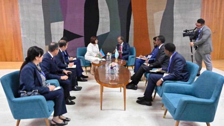 Milli Məclisin sədri Sahibə Qafarova Somali Prezidenti ilə görüşüb