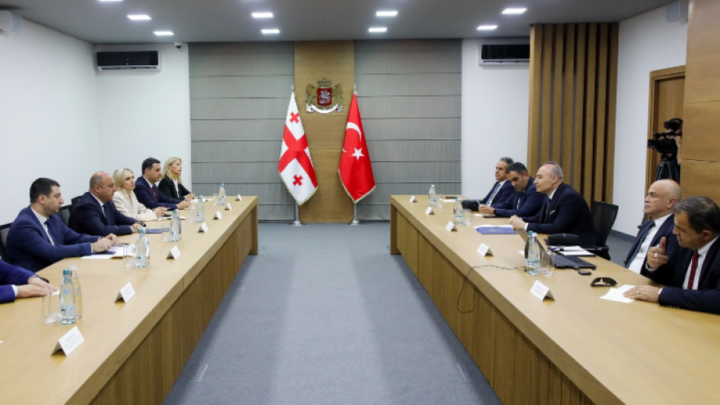 Türkiyə ilə Gürcüstan qanunsuz miqrasiya və terrorizmə qarşı birgə mübarizə aparacaq