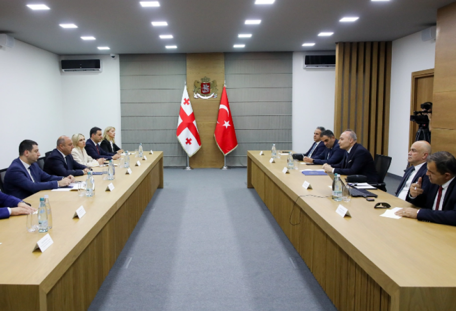 Türkiyə ilə Gürcüstan qanunsuz miqrasiya və terrorizmə qarşı birgə mübarizə aparacaq