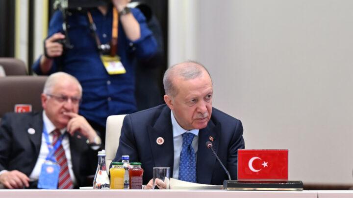 Prezident Ərdoğan: Türkiyə sülh və sabitlik naminə səylərini davam etdirir