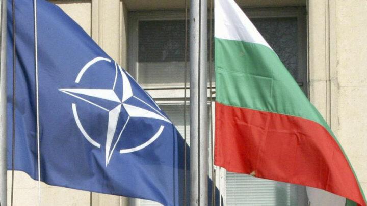 Bolqarıstan Qara dənizdə dron hücumlarının araşdırılması üçün NATO və Aİ-dən kömək istəyib