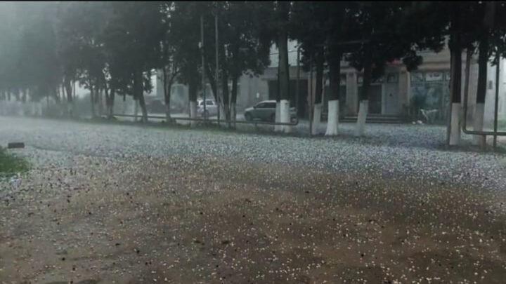 Lənkəranın bir sıra kəndlərinə dolu düşüb
