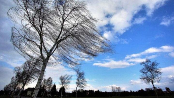 Küləkli hava şəraiti ilə bağlı sarı və narıncı xəbərdarlıq verilib