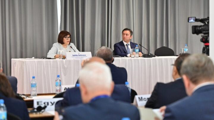 Sahibə Qafarova Tanzaniyada Qoşulmama Hərəkatı Parlament Şəbəkəsinin koordinasiya iclasına sədrlik edib