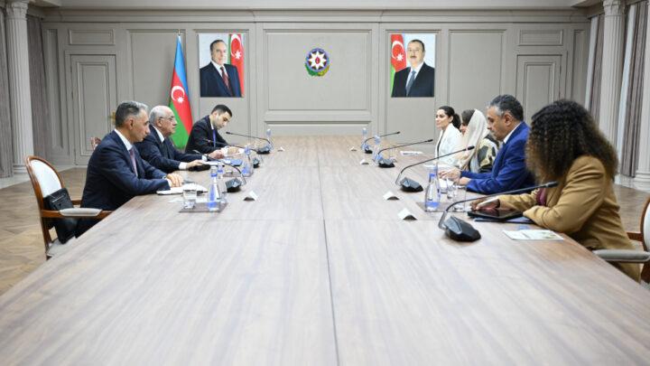 Baş nazir Əli Əsədov Rəqəmsal Əməkdaşlıq Təşkilatının Baş katibi ilə görüşüb